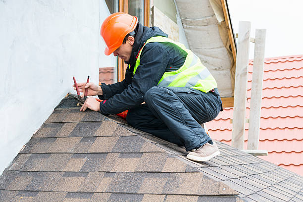 Best Metal Roofing Contractor  in Guntersville, AL
